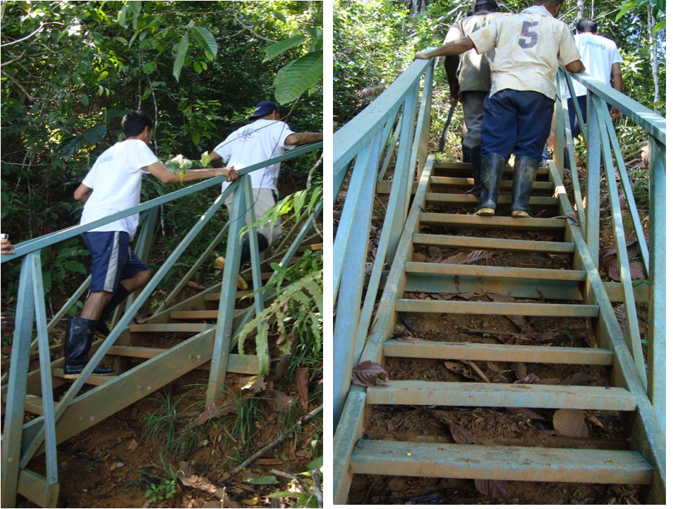 puentes escaleras caminos senderos escaleras para pasos inclinados subir pendientes resbalosas con escaleras maderas plásticas maderplast escalera de asenso peligroso resbaloso campo agrícola 1 puentes escaleras caminos senderos escaleras para pasos inclinados subir pendientes resbalosas con escaleras maderas plásticas maderplast escalera de asenso peligroso resbaloso campo agrícola 1